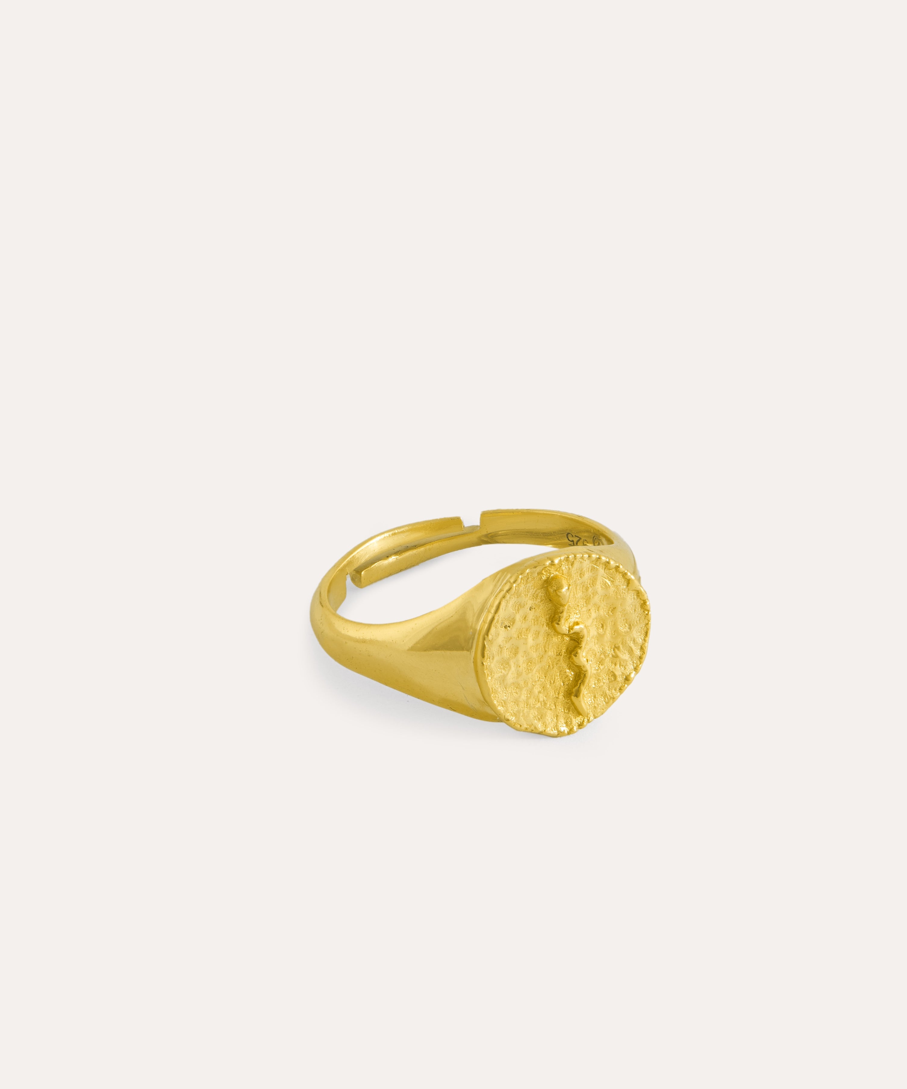 Angitia Snake Signet Ring | Sustainable Jewellery by Ottoman Hands